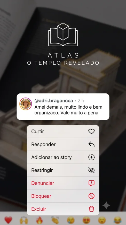 Comentário no Instagram de adri.bragancca: amei demais, muito lindo e bem organizado, vale muito a pena