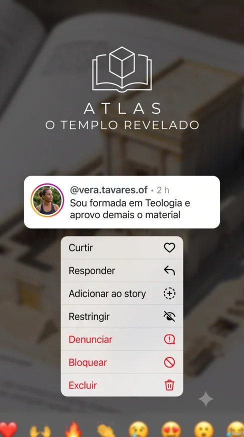Comentário no Instagram de vera.tavares.of: sou formada em Teologia e aprovo demais o material