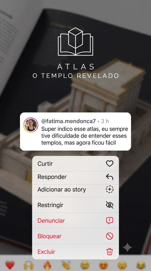 Comentário no Instagram de fatima.mendonca7: super indico esse atlas, sempre tive dificuldade de entender esses templos, mas agora ficou fácil